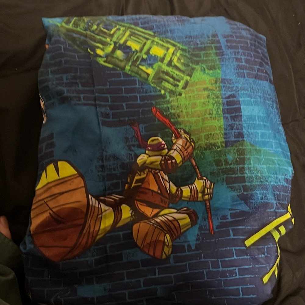 2012 TMNT Bedsheet for a twin mattress!